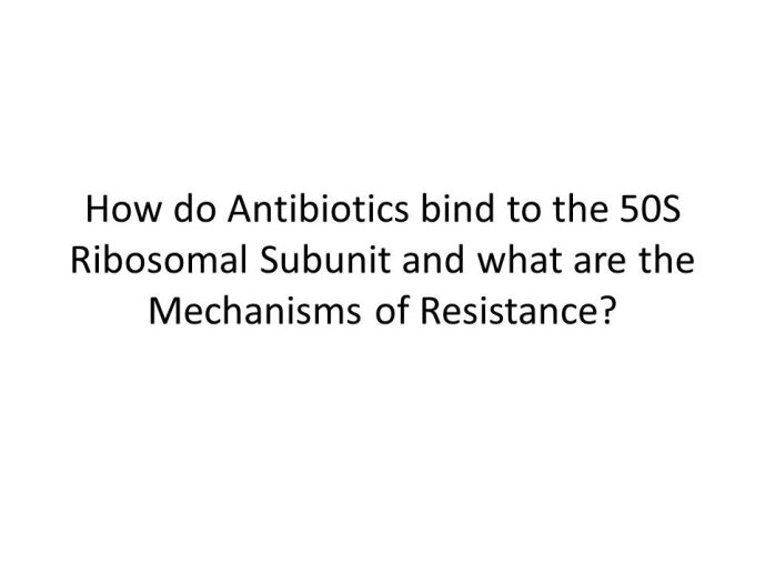 slide_0039_full.jpg