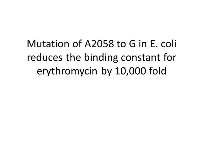 slide_0047_full.jpg