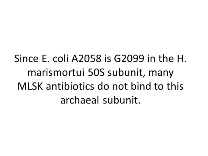 slide_0048_full.jpg