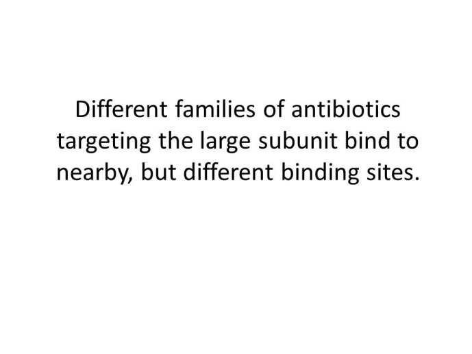 slide_0050_full.jpg