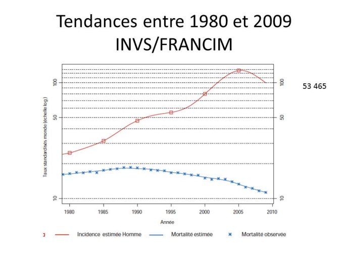 Tendances