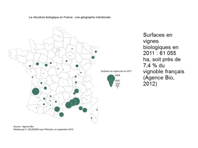 Celerier-Albi-2013-03.JPG