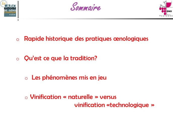 Taillandier-Albi2013-02.JPG