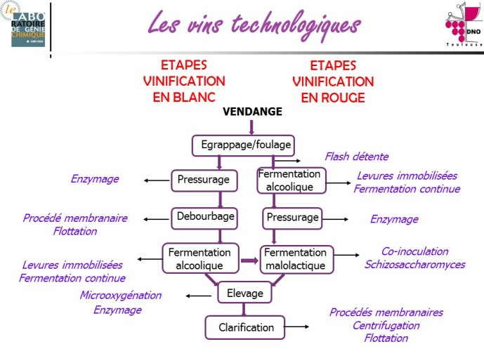Taillandier-Albi2013-10.JPG