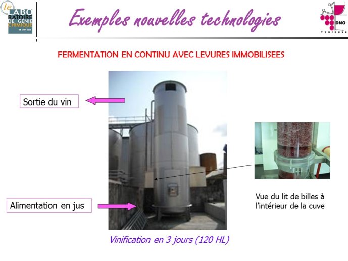 Taillandier-Albi2013-12.JPG