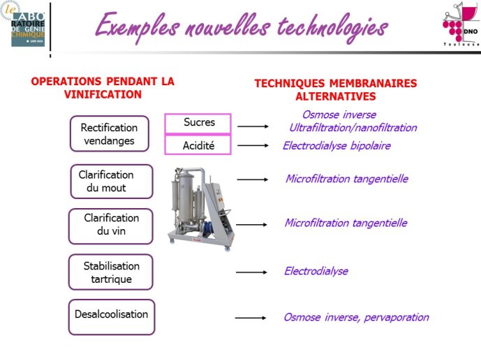 Taillandier-Albi2013-14.JPG