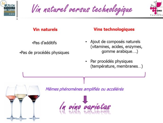 Taillandier-Albi2013-15.JPG