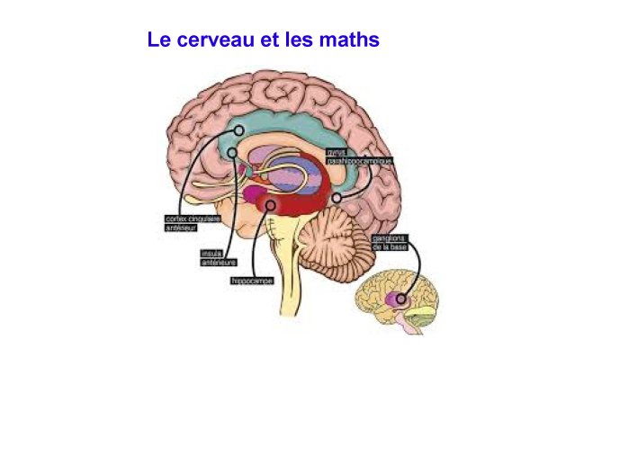 module05_Page_051.jpg