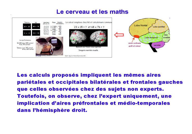 module05_Page_061.jpg