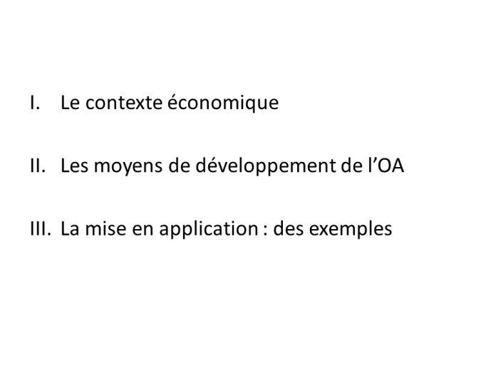 Gouzi-OpenScience-2013-02.JPG