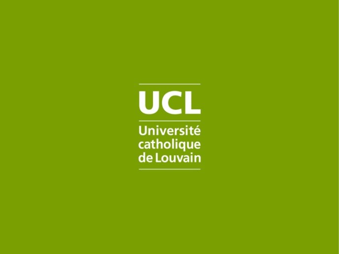 Mayer-colloque Toulouse 2014-01.jpg