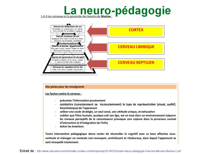 module 07_Page_022.jpg