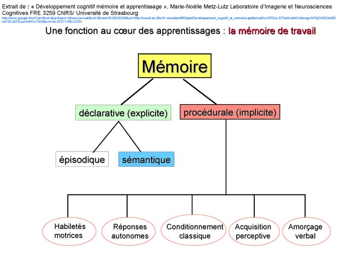 module 07_Page_029.jpg