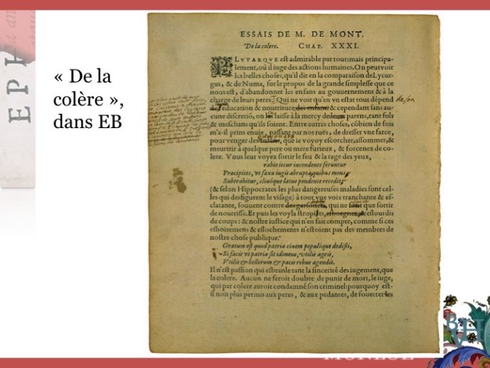 Demonet-ErreurchezMontaigne-15.jpg