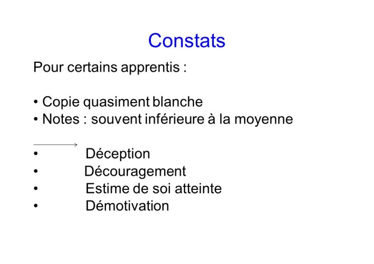 Lefranc Education inclusive-Toulouse2015-08.JPG
