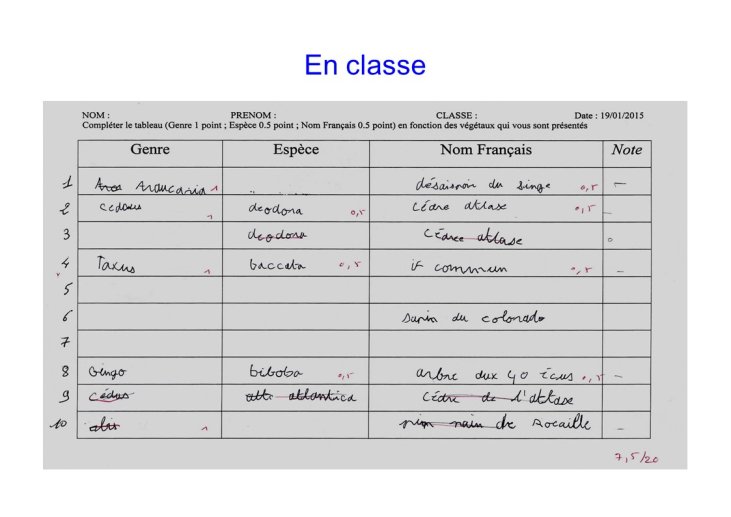 Lefranc Education inclusive-Toulouse2015-09.JPG