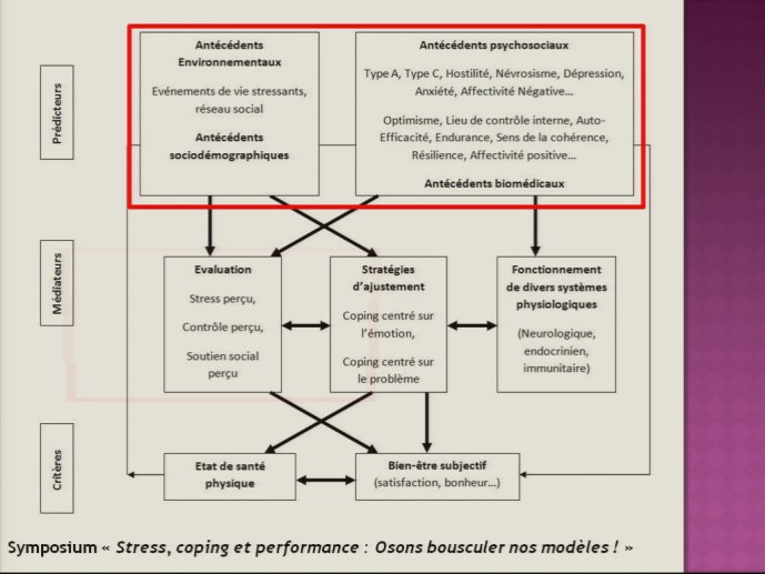 slide_0075_full.jpg
