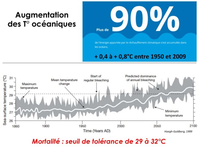 Duvat -Toulouse 2015-14.jpg