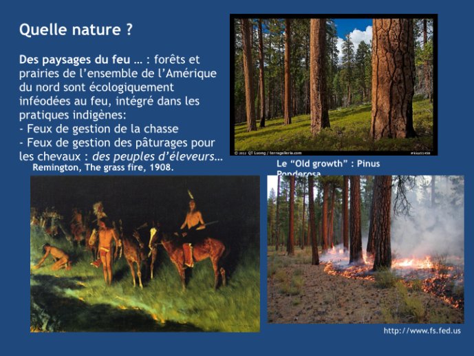 Metailie-wilderness et hist-environnement-06.jpg