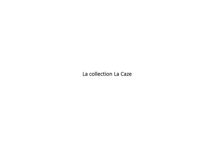 Faroult-Fancy Toulouse 2015-21.JPG