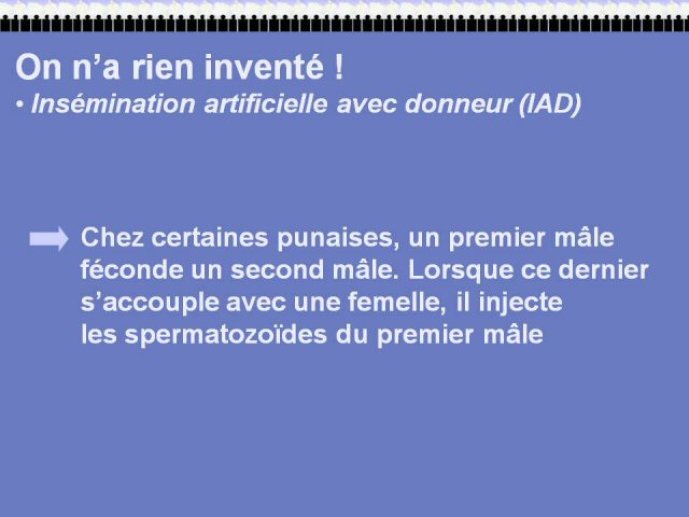 Diapositive13