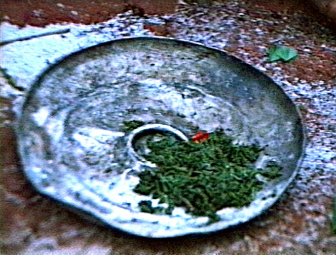 1987-03 RCA Aka video fumigation Boyangi13 déchet remède.jpg