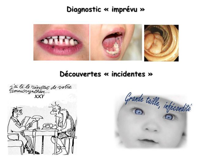 Diaposit11.JPG