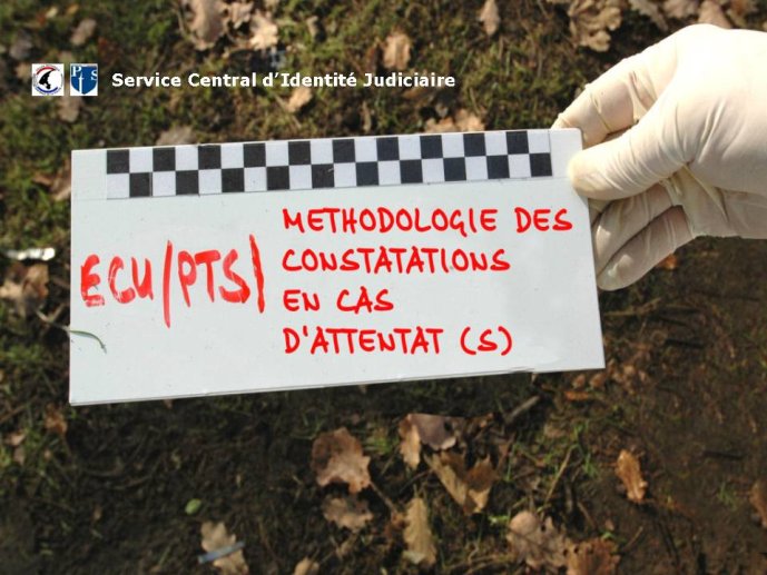 Diapositive1
