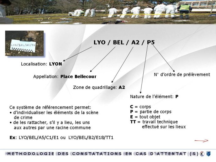 Diapositive13