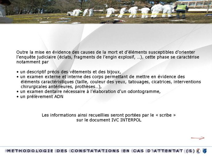 Diapositive19
