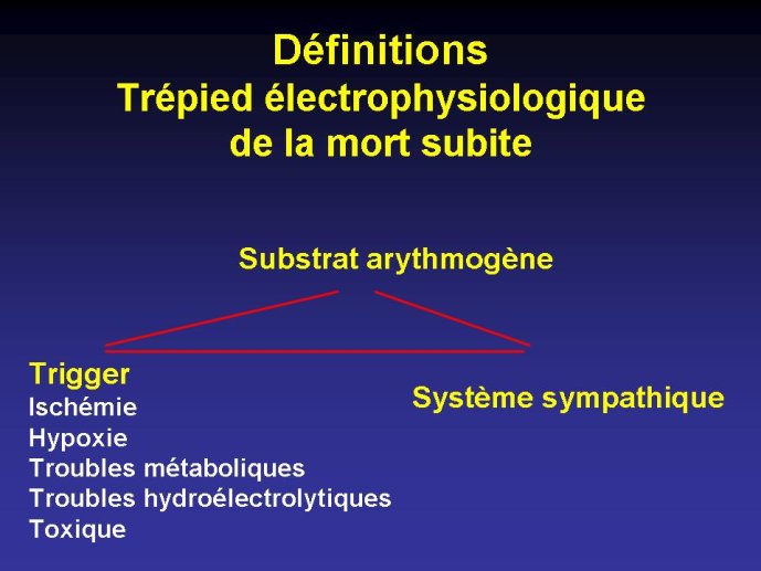 Diapositive5