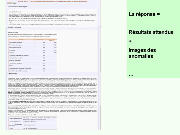 Diapositive10
