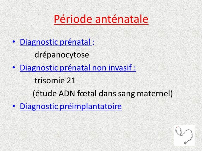 Diapo02.JPG