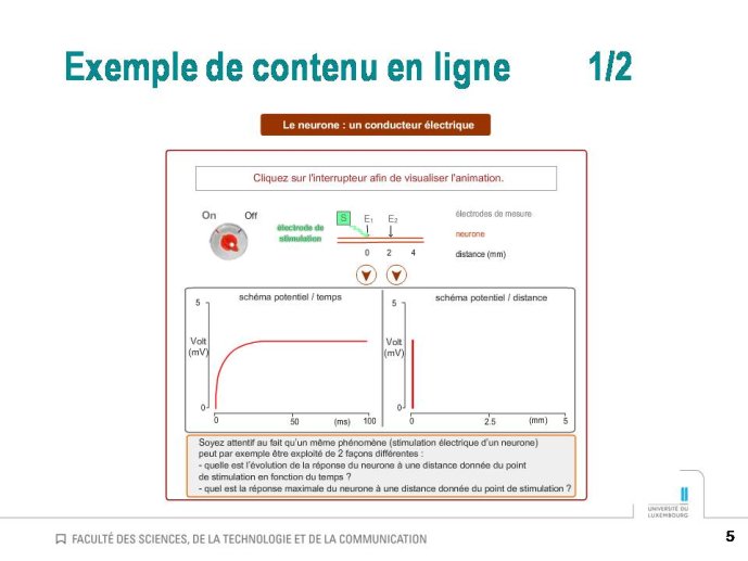 Diapositive5