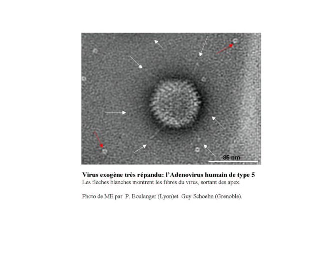 Conf%20HIV%20Gre%20I_07