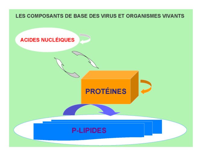 Conf%20HIV%20Gre%20I_09