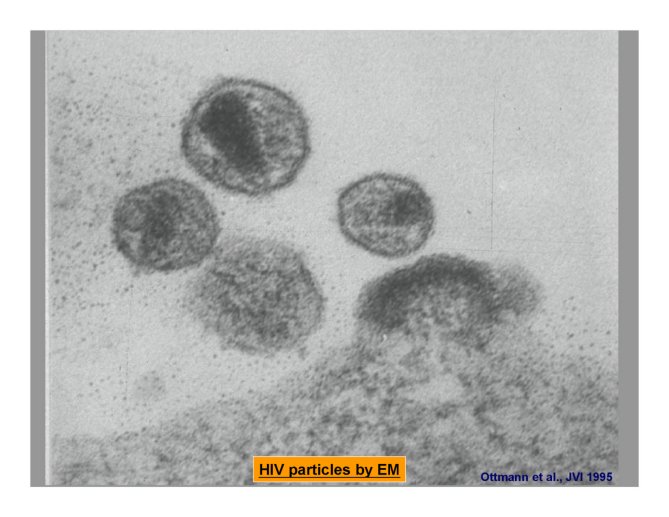 Conf%20HIV%20Gre%20I_17