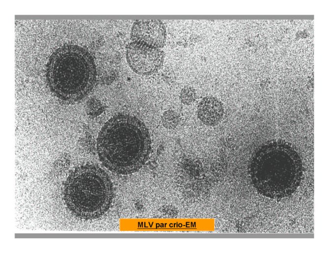 Conf%20HIV%20Gre%20I_22