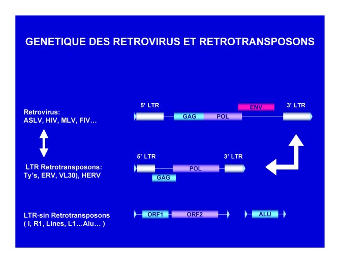 Conf%20HIV%20Gre%20I_27
