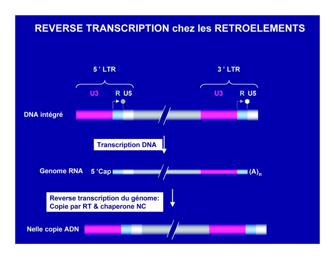 Conf%20HIV%20Gre%20I_28