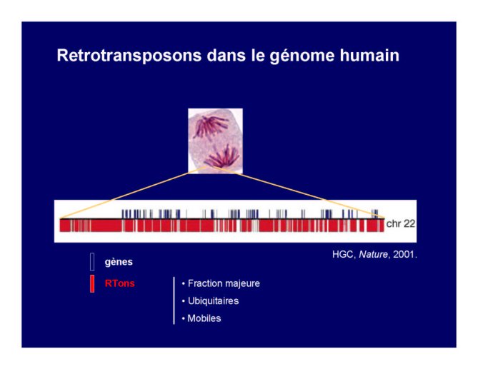Conf%20HIV%20Gre%20I_31