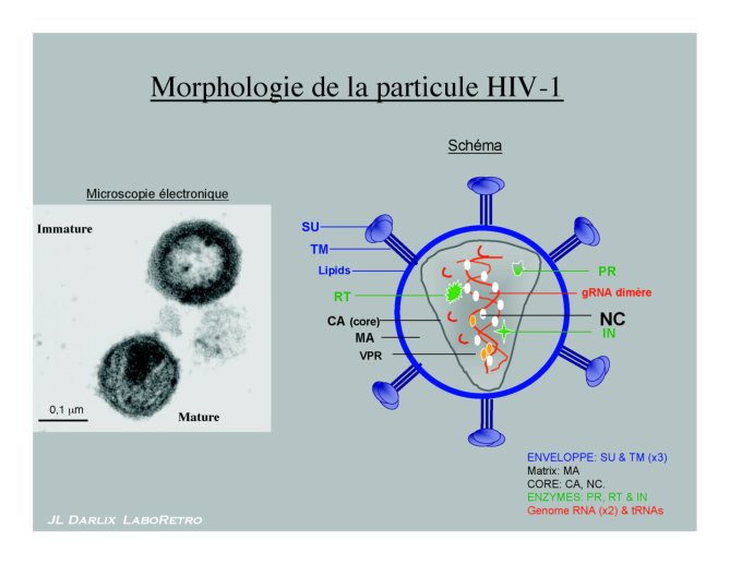 Conf%20HIV%20Gre%20I_34