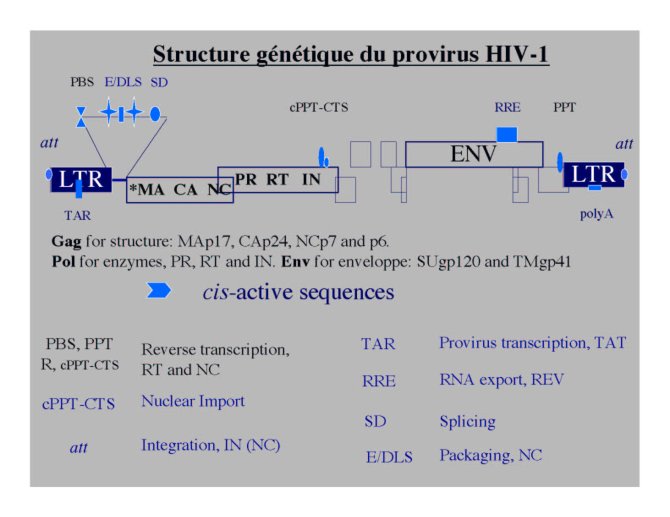 Conf%20HIV%20Gre%20I_35