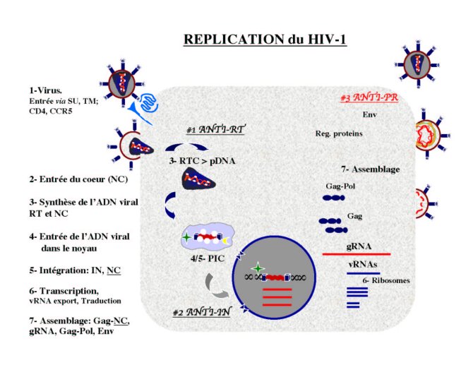 Conf%20HIV%20Gre%20I_36