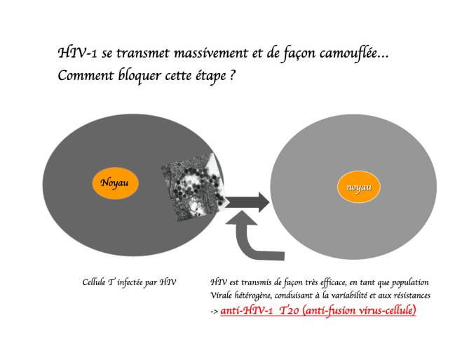 Conf%20HIV%20Gre%20I_37