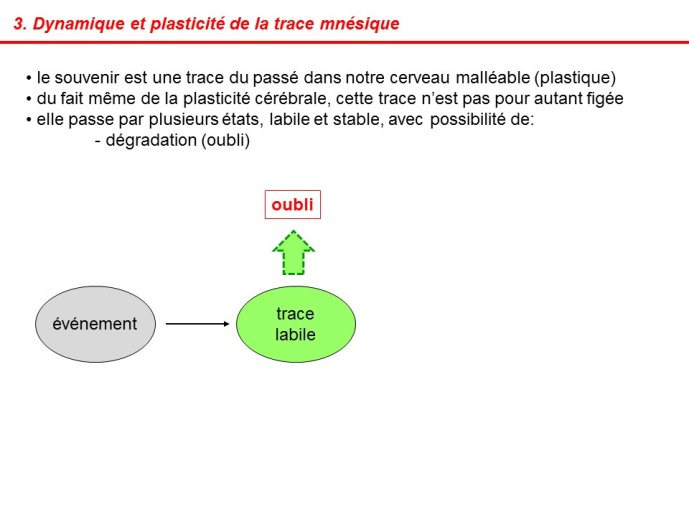 Devaud-ProusTime1-12.JPG