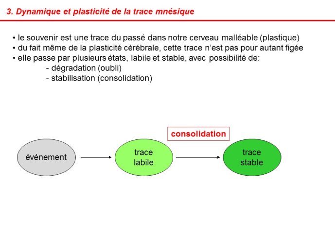 Devaud-ProusTime1-13.JPG