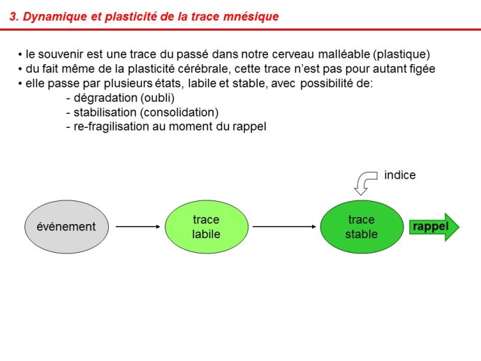 Devaud-ProusTime1-14.JPG