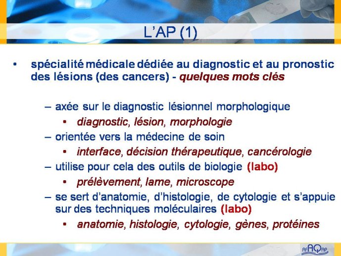 Diapositive3