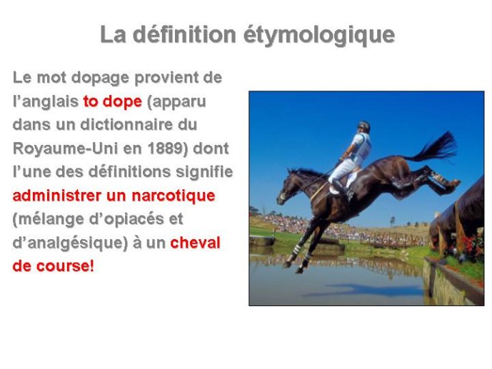 Diapositive07
